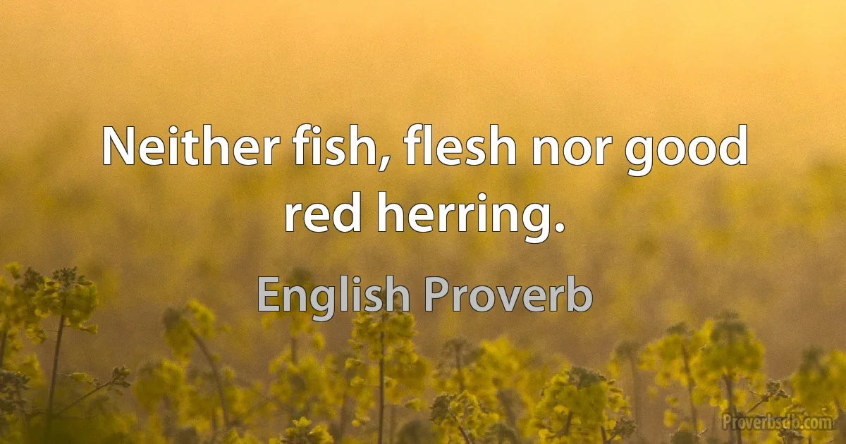 Neither fish, flesh nor good red herring. (English Proverb)