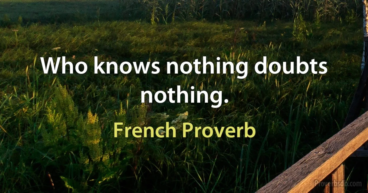 Who knows nothing doubts nothing. (French Proverb)