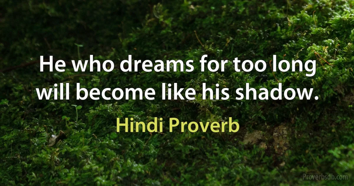 He who dreams for too long will become like his shadow. (Hindi Proverb)