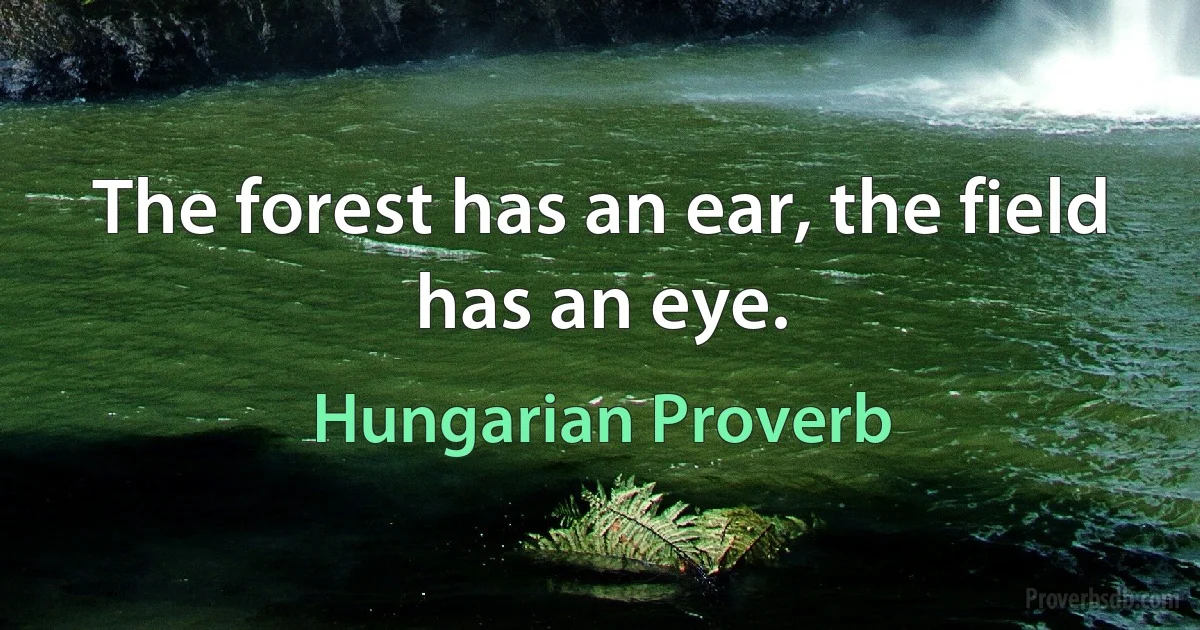 The forest has an ear, the field has an eye. (Hungarian Proverb)