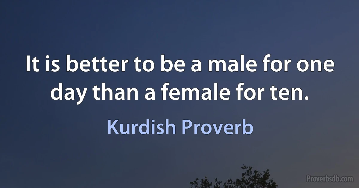 It is better to be a male for one day than a female for ten. (Kurdish Proverb)