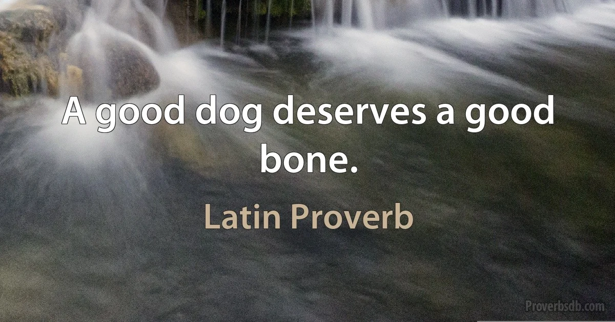 A good dog deserves a good bone. (Latin Proverb)