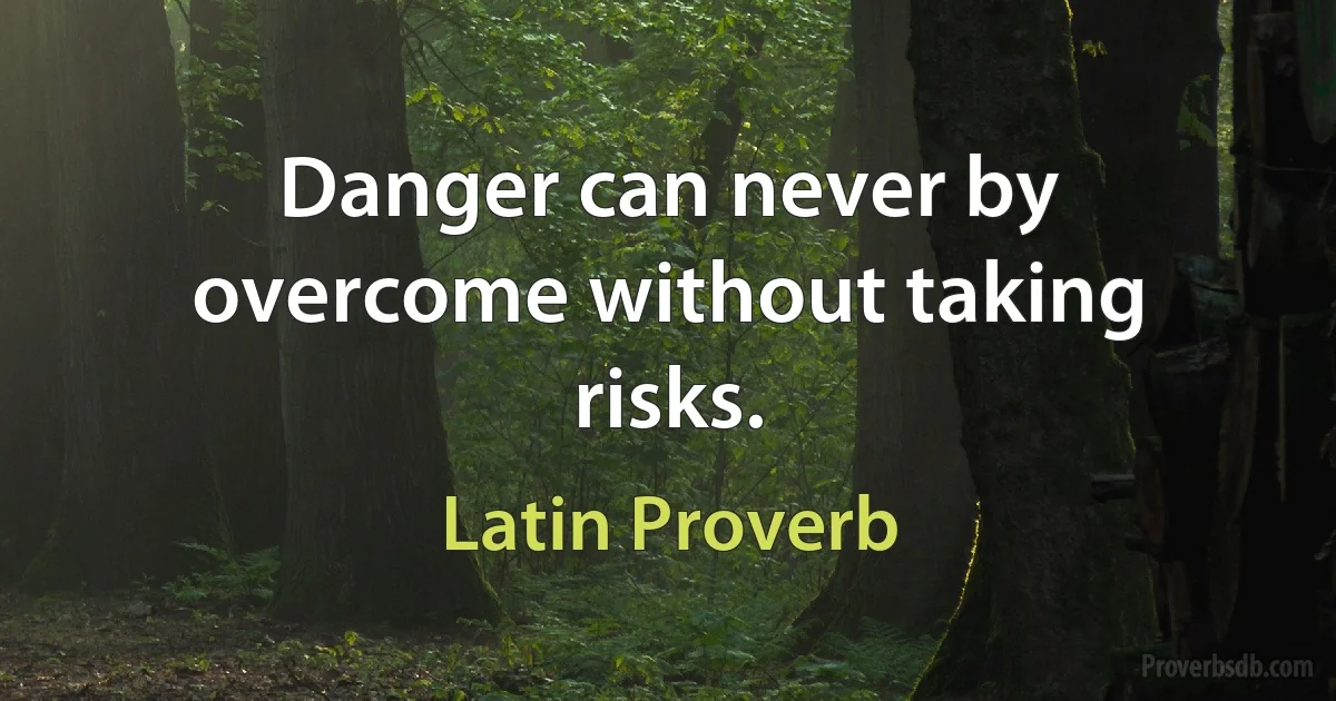 Danger can never by overcome without taking risks. (Latin Proverb)