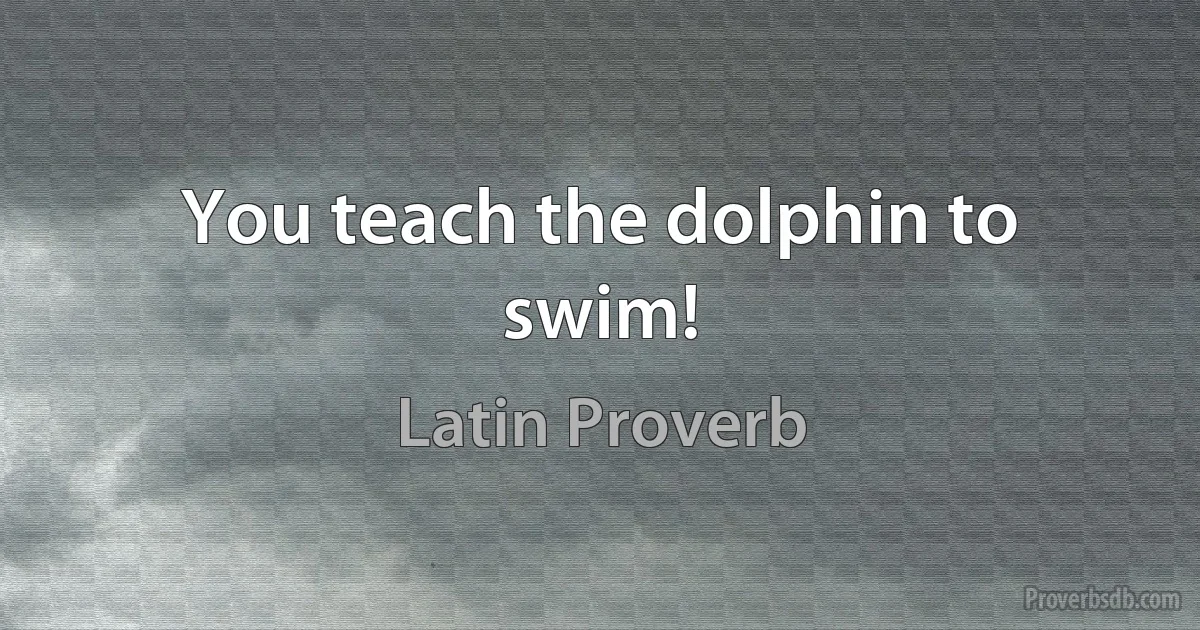 You teach the dolphin to swim! (Latin Proverb)