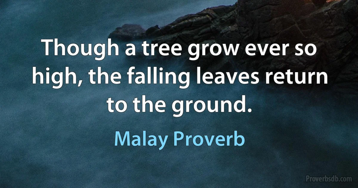 Though a tree grow ever so high, the falling leaves return to the ground. (Malay Proverb)