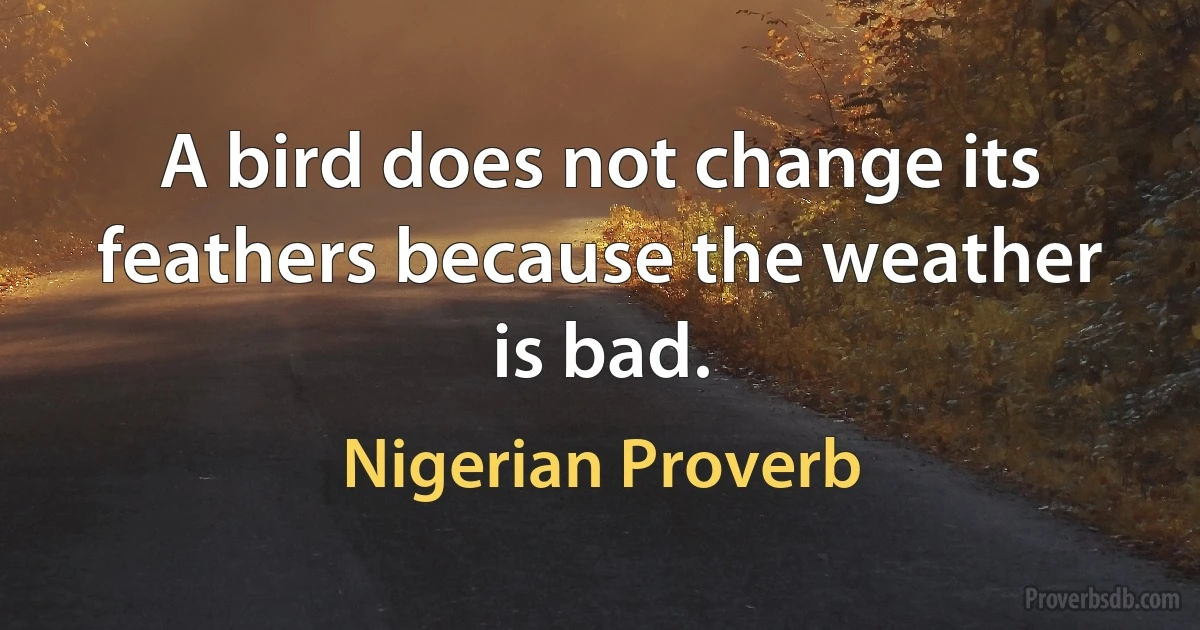 A bird does not change its feathers because the weather is bad. (Nigerian Proverb)