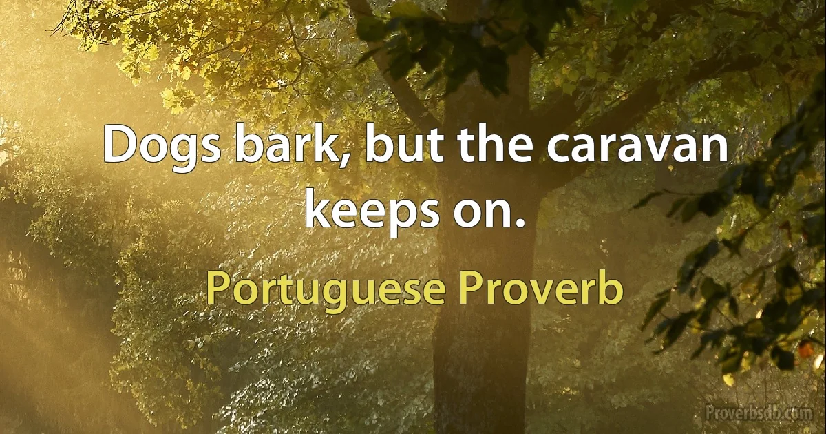 Dogs bark, but the caravan keeps on. (Portuguese Proverb)