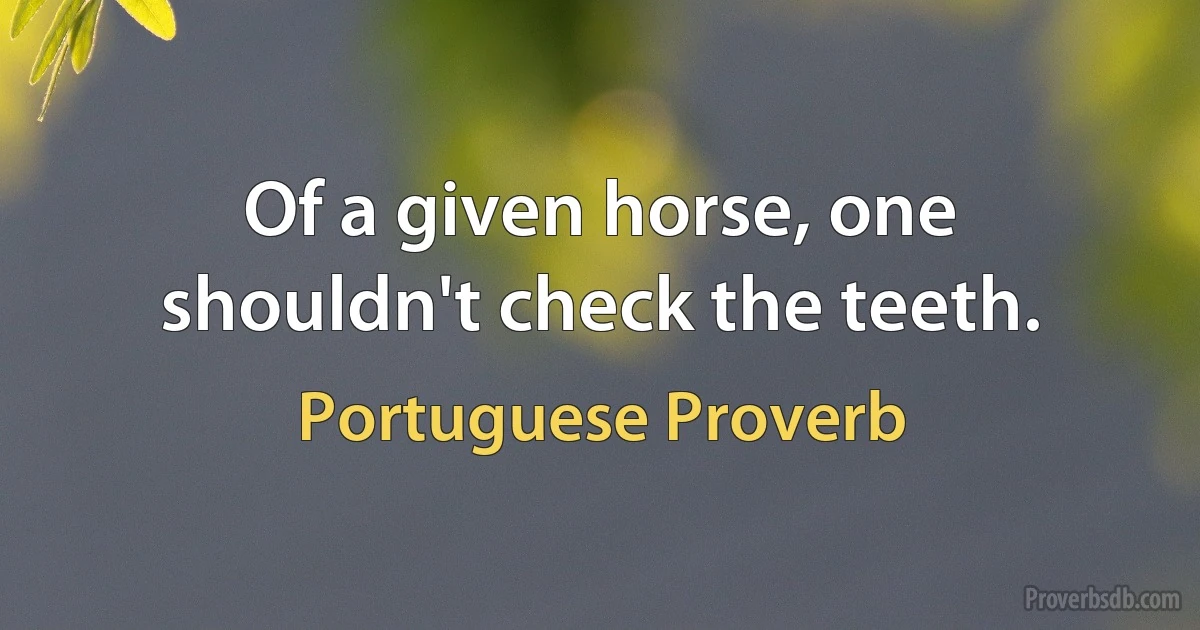 Of a given horse, one shouldn't check the teeth. (Portuguese Proverb)