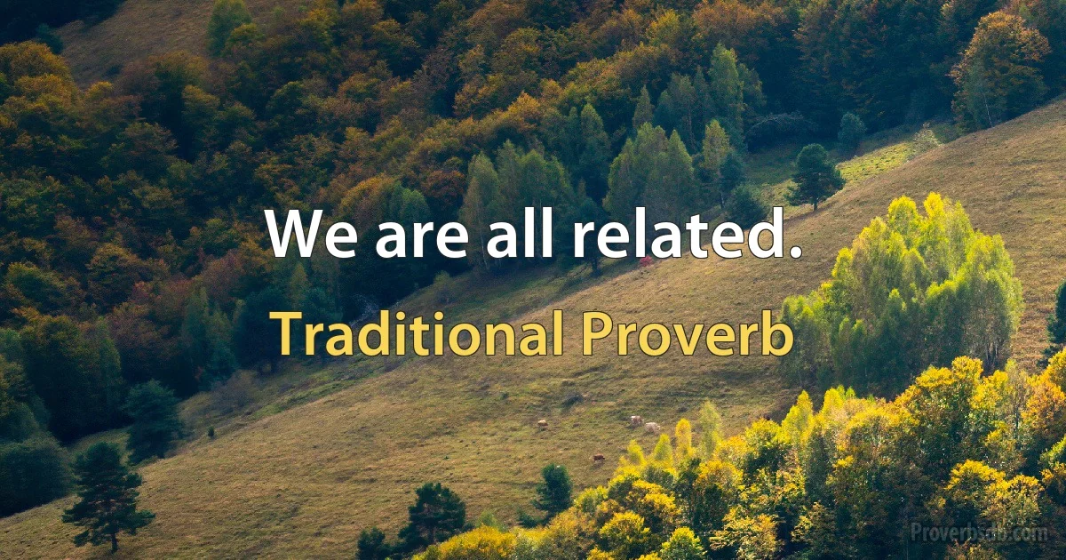 We are all related. (Traditional Proverb)