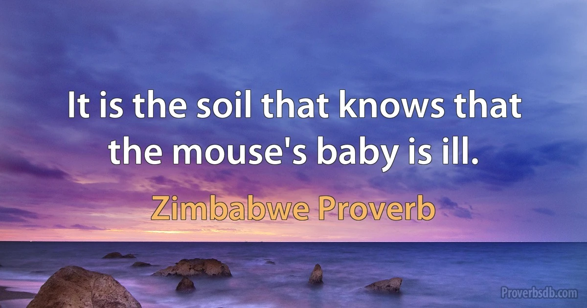 It is the soil that knows that the mouse's baby is ill. (Zimbabwe Proverb)