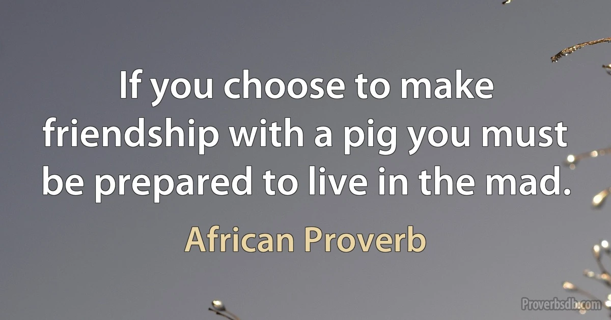 If you choose to make friendship with a pig you must be prepared to live in the mad. (African Proverb)