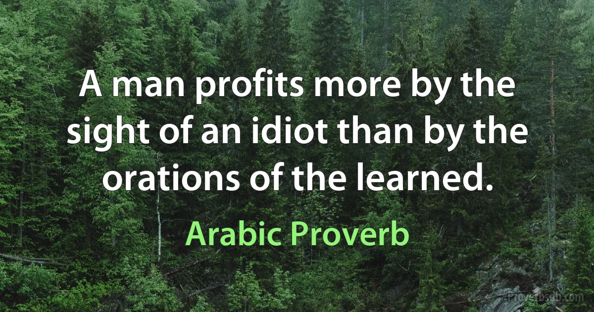 A man profits more by the sight of an idiot than by the orations of the learned. (Arabic Proverb)