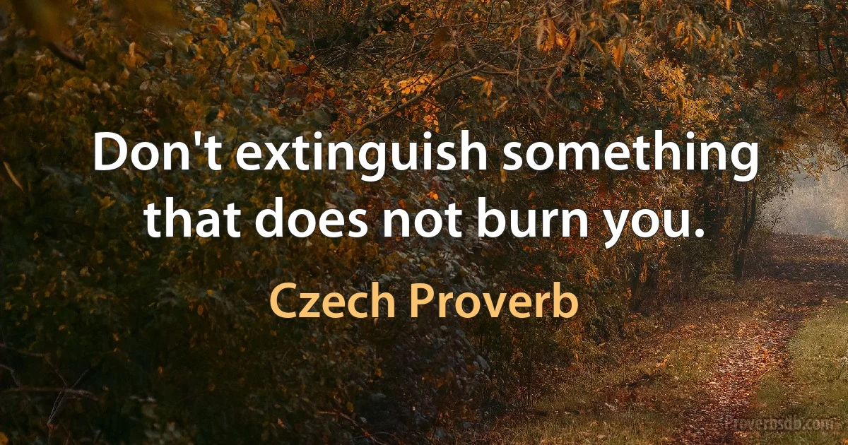 Don't extinguish something that does not burn you. (Czech Proverb)