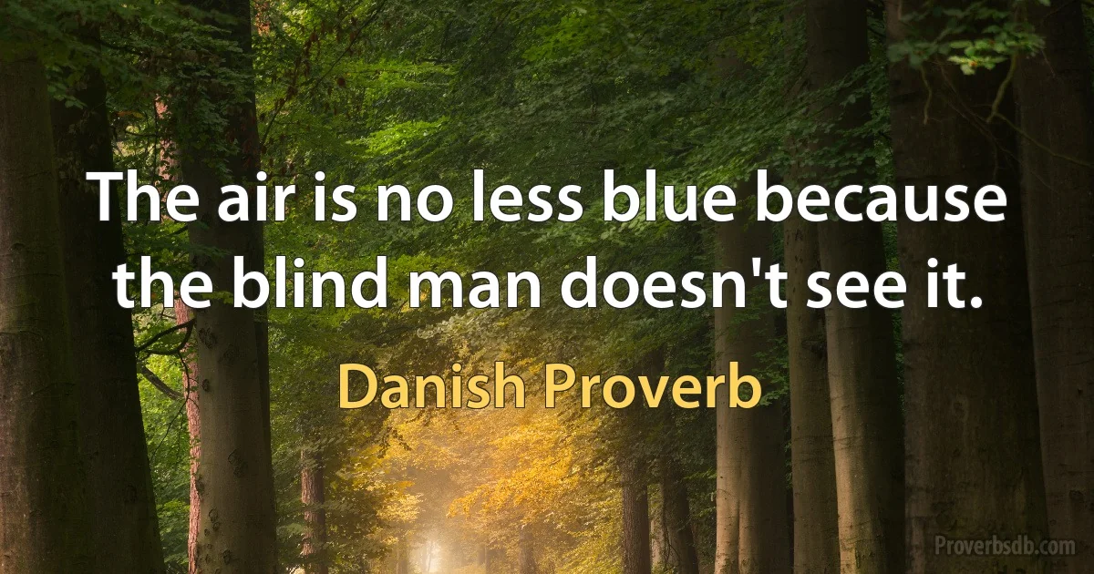 The air is no less blue because the blind man doesn't see it. (Danish Proverb)