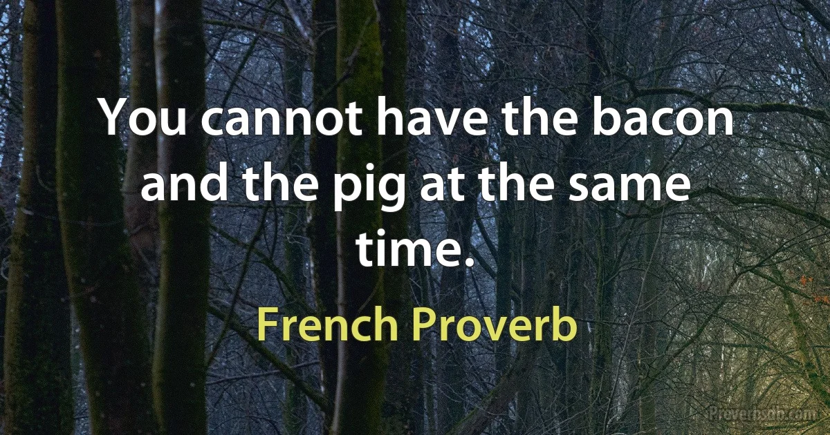 You cannot have the bacon and the pig at the same time. (French Proverb)