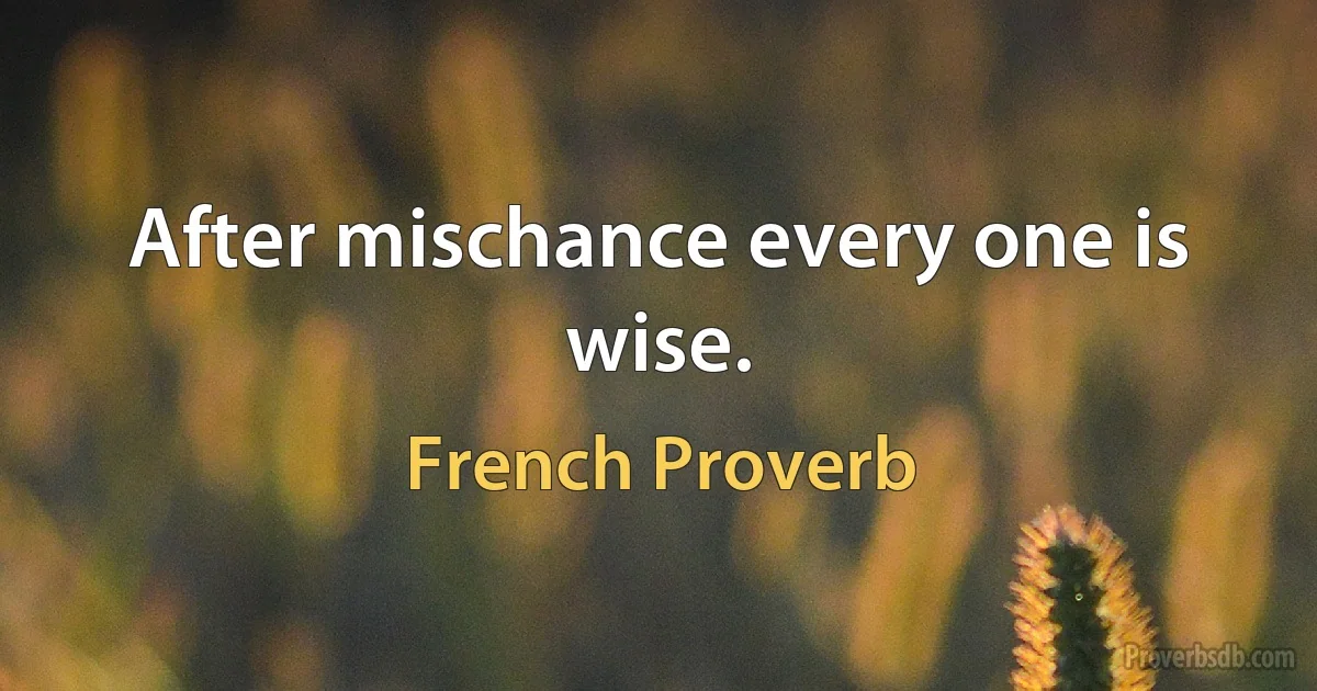 After mischance every one is wise. (French Proverb)