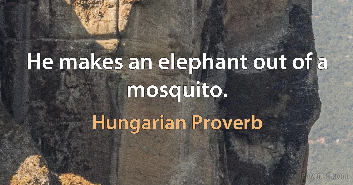 He makes an elephant out of a mosquito. (Hungarian Proverb)