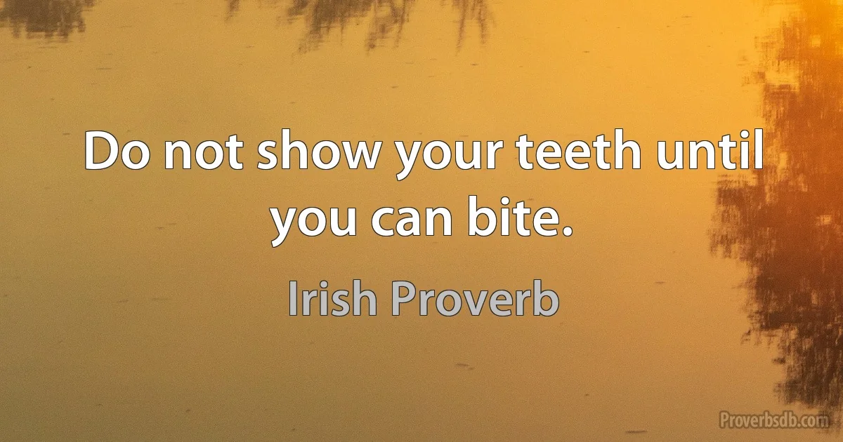 Do not show your teeth until you can bite. (Irish Proverb)