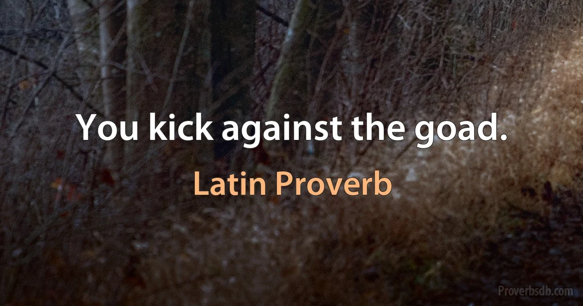 You kick against the goad. (Latin Proverb)