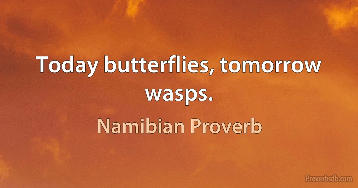 Today butterflies, tomorrow wasps. (Namibian Proverb)