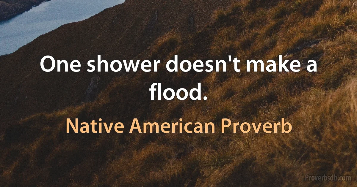 One shower doesn't make a flood. (Native American Proverb)