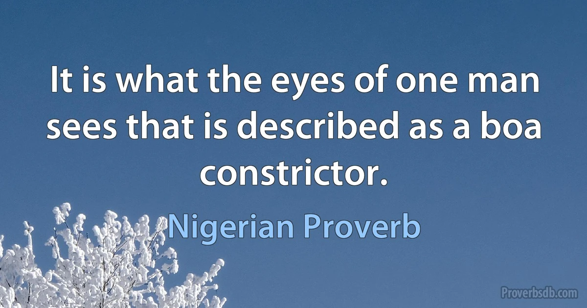 It is what the eyes of one man sees that is described as a boa constrictor. (Nigerian Proverb)