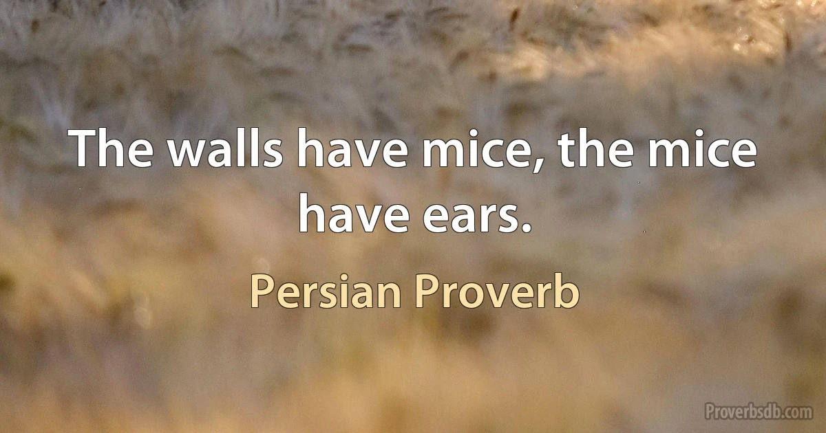 The walls have mice, the mice have ears. (Persian Proverb)