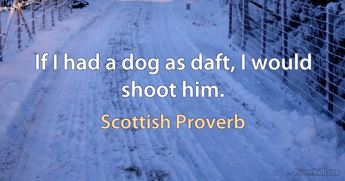 If I had a dog as daft, I would shoot him. (Scottish Proverb)