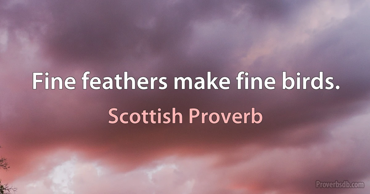 Fine feathers make fine birds. (Scottish Proverb)