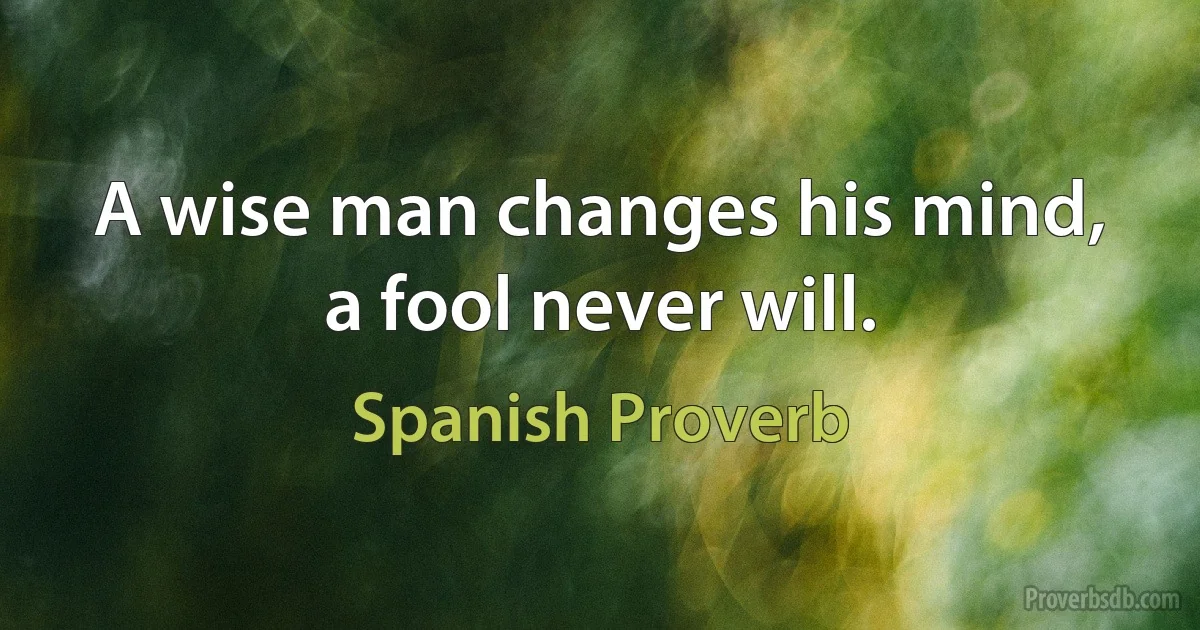 A wise man changes his mind, a fool never will. (Spanish Proverb)