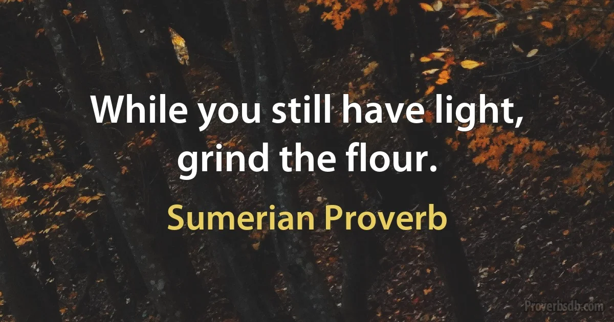 While you still have light, grind the flour. (Sumerian Proverb)