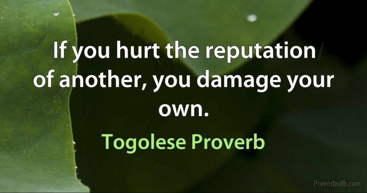 If you hurt the reputation of another, you damage your own. (Togolese Proverb)