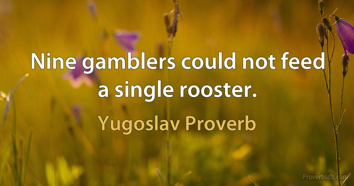 Nine gamblers could not feed a single rooster. (Yugoslav Proverb)