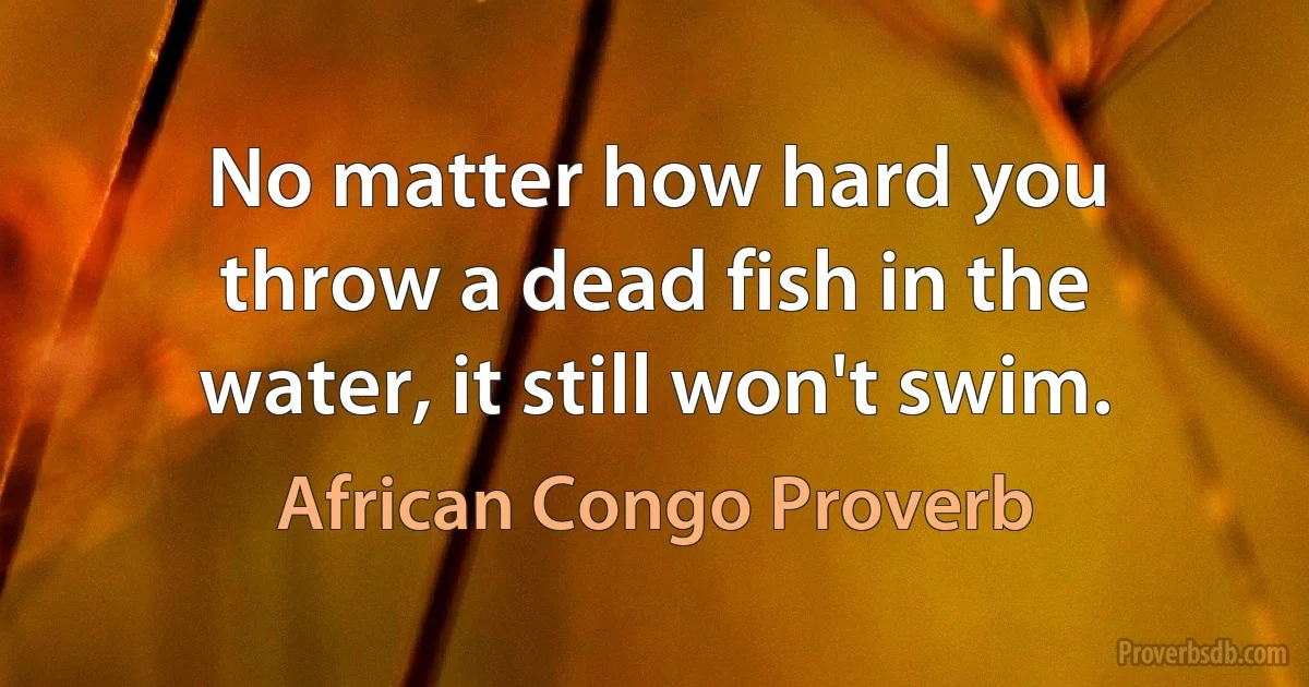 No matter how hard you throw a dead fish in the water, it still won't swim. (African Congo Proverb)