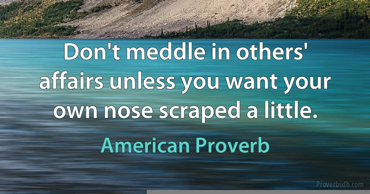 Don't meddle in others' affairs unless you want your own nose scraped a little. (American Proverb)