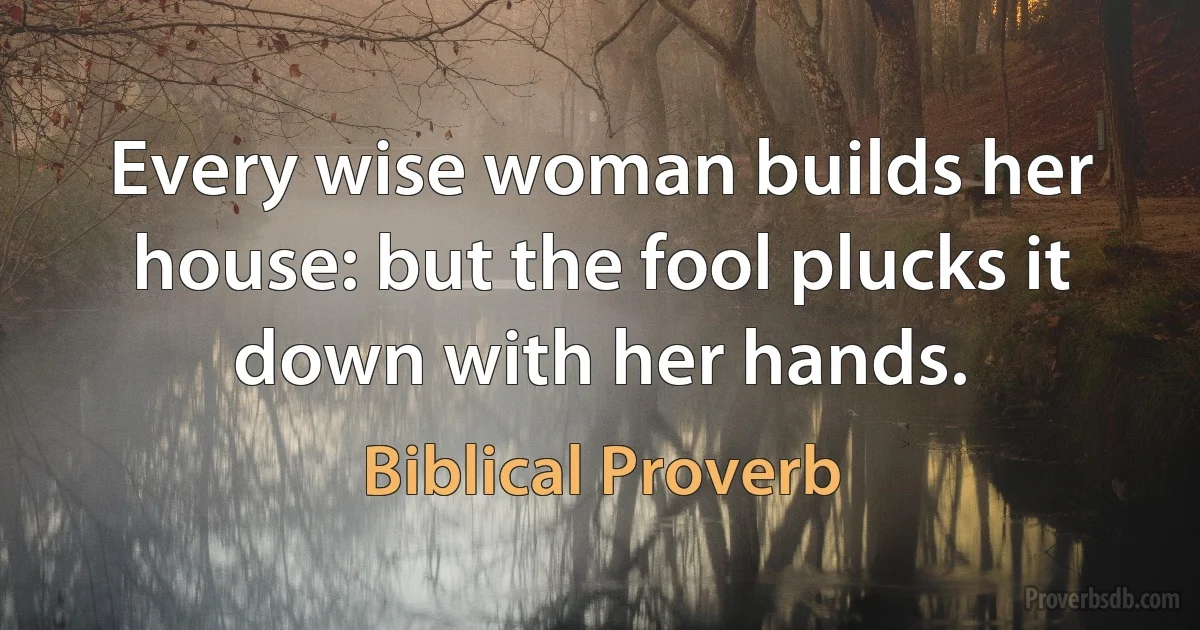 Every wise woman builds her house: but the fool plucks it down with her hands. (Biblical Proverb)