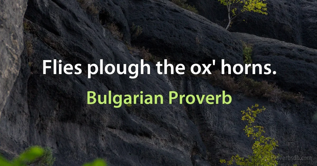 Flies plough the ox' horns. (Bulgarian Proverb)