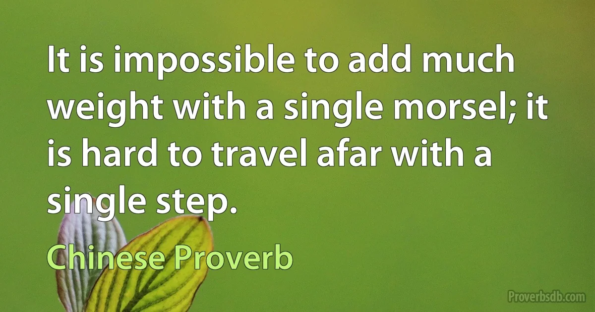 It is impossible to add much weight with a single morsel; it is hard to travel afar with a single step. (Chinese Proverb)