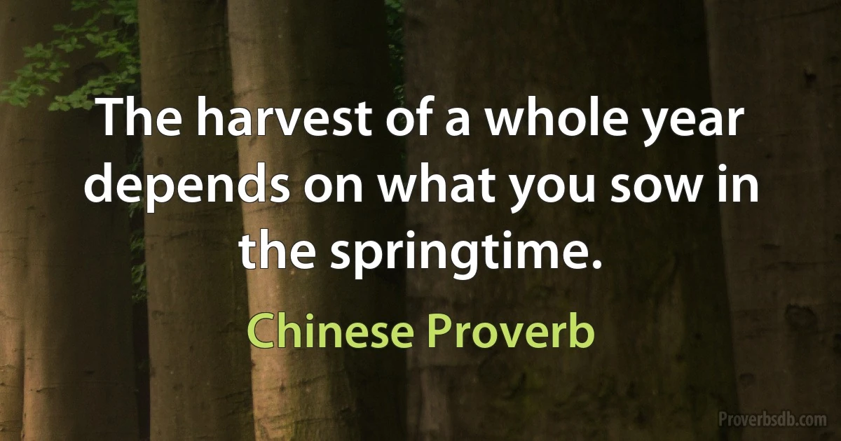 The harvest of a whole year depends on what you sow in the springtime. (Chinese Proverb)