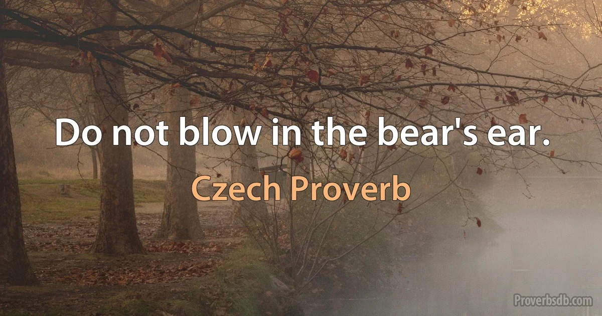 Do not blow in the bear's ear. (Czech Proverb)