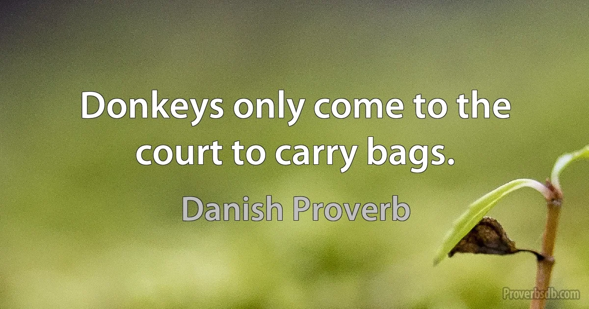 Donkeys only come to the court to carry bags. (Danish Proverb)