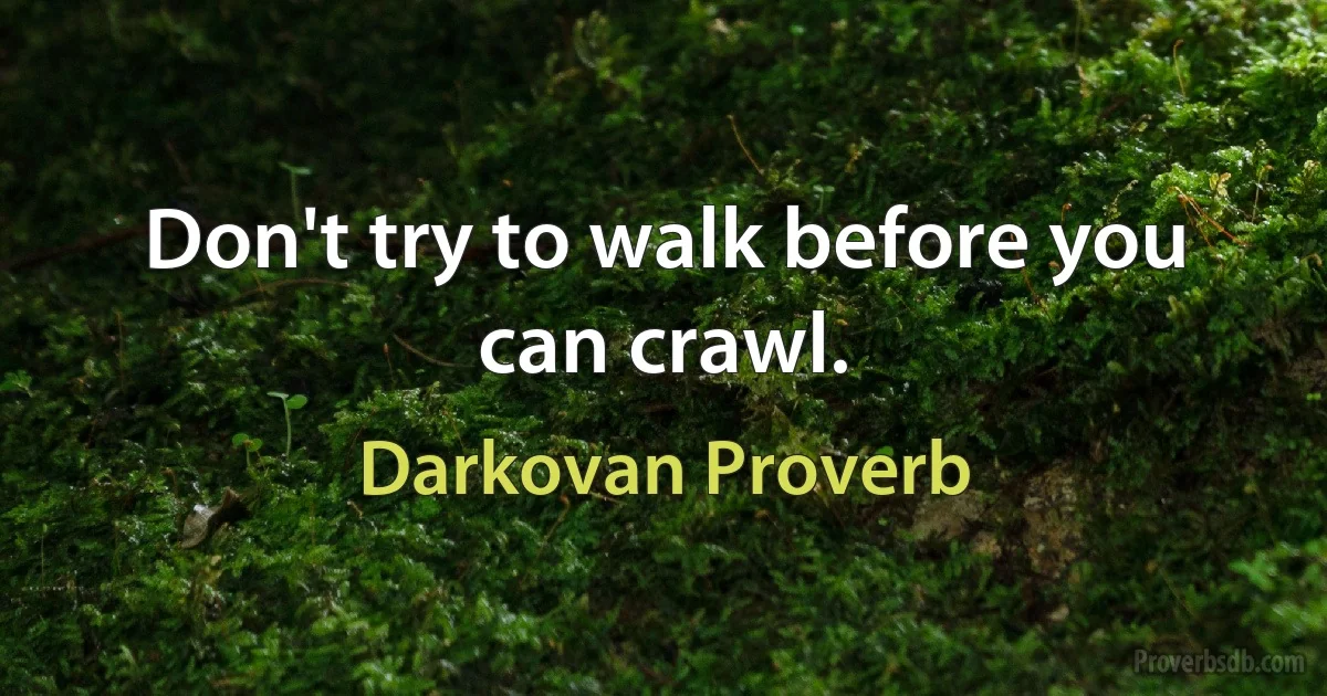 Don't try to walk before you can crawl. (Darkovan Proverb)