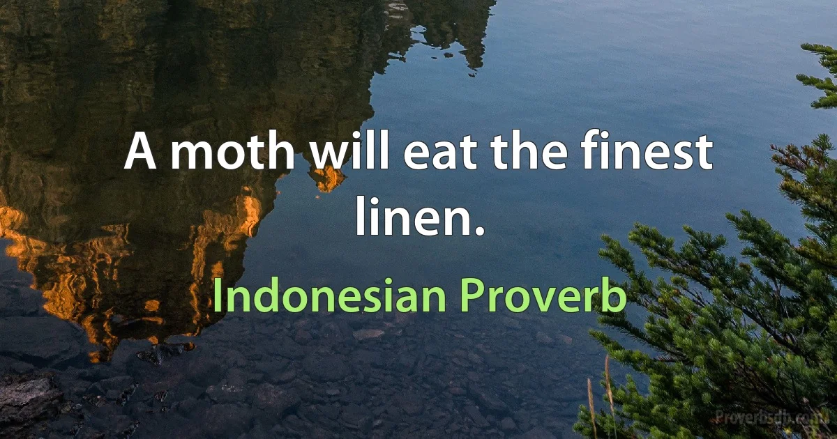 A moth will eat the finest linen. (Indonesian Proverb)