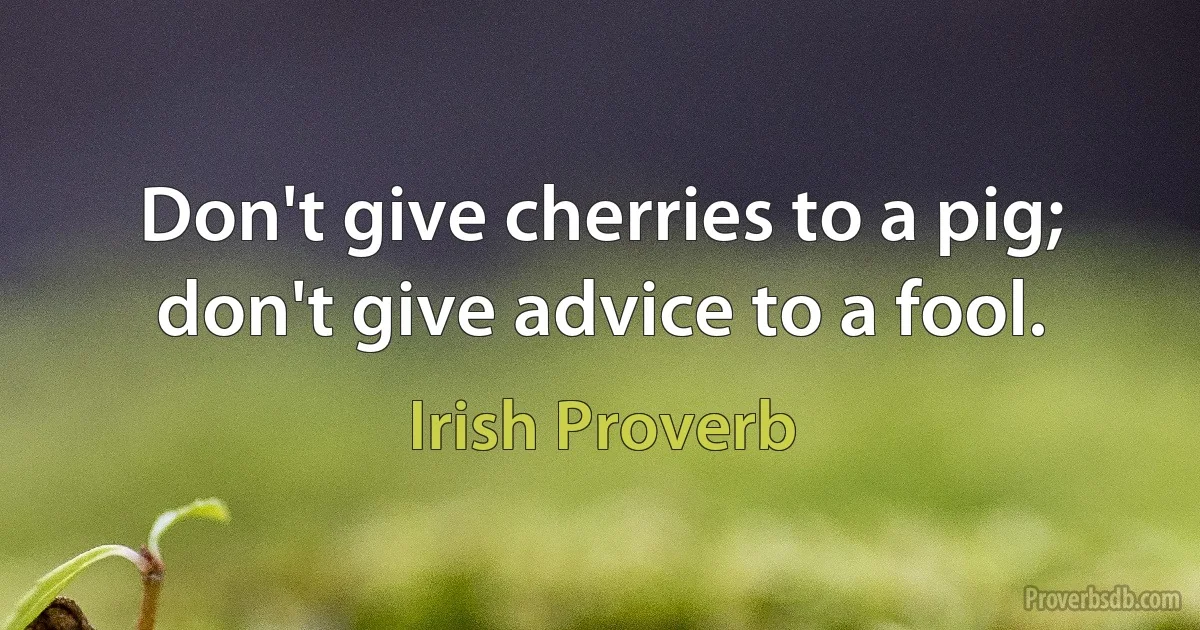 Don't give cherries to a pig; don't give advice to a fool. (Irish Proverb)