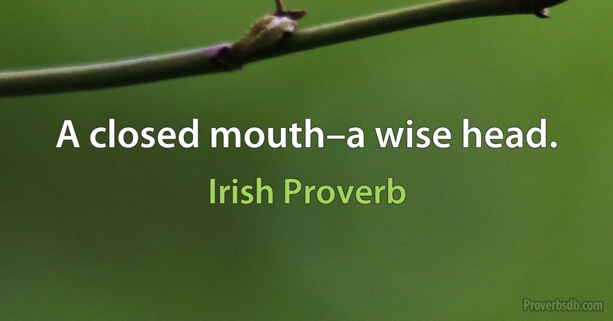 A closed mouth–a wise head. (Irish Proverb)