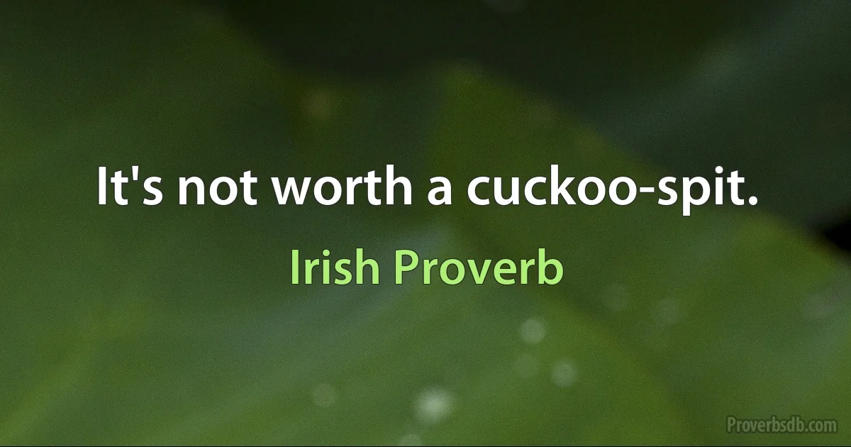 It's not worth a cuckoo-spit. (Irish Proverb)