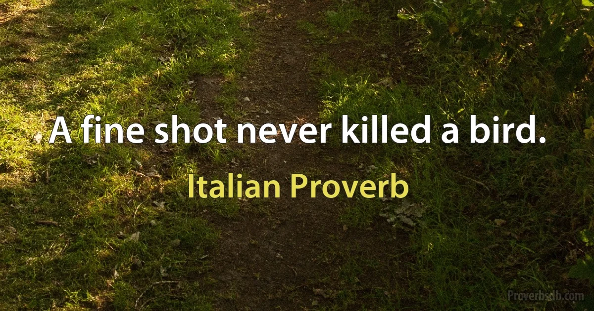 A fine shot never killed a bird. (Italian Proverb)