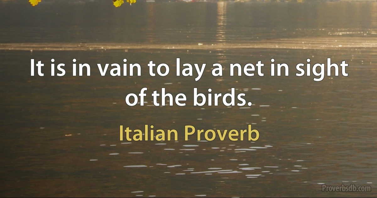 It is in vain to lay a net in sight of the birds. (Italian Proverb)