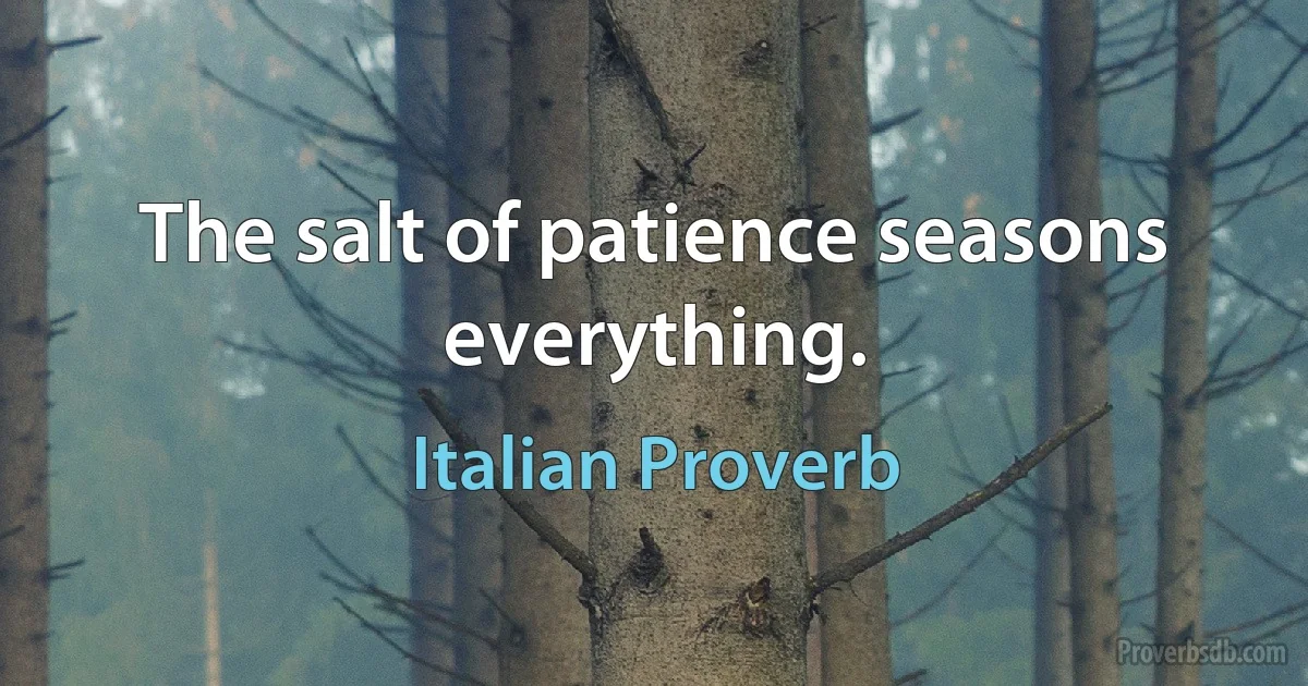 The salt of patience seasons everything. (Italian Proverb)