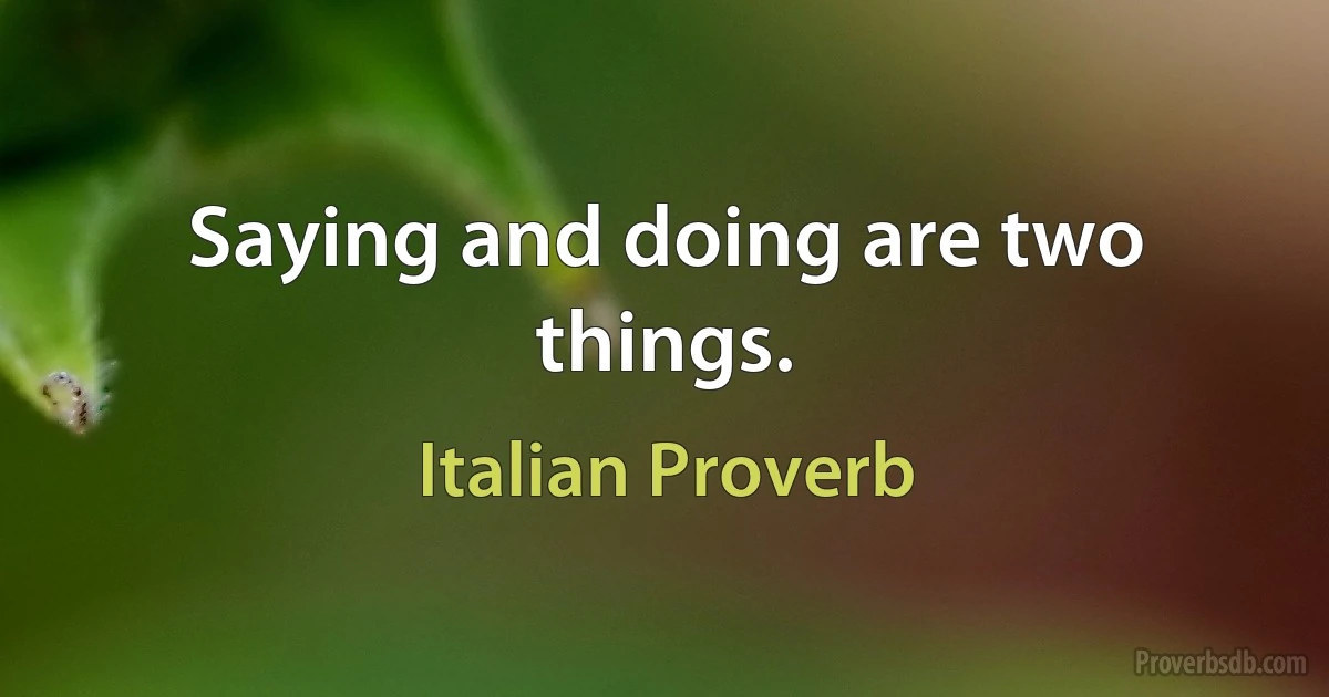 Saying and doing are two things. (Italian Proverb)